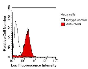 Flow Cytometry - Anti-PAX8 antibody [PAX8R1] (AB53490)