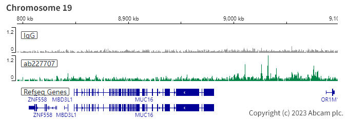ChIC/CUT&RUN sequencing - Anti-PAX8 antibody [SP348] - N-terminal (ab227707), expandable thumbnail