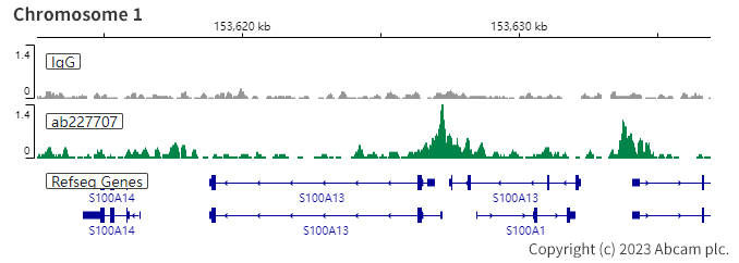 ChIC/CUT&RUN sequencing - Anti-PAX8 antibody [SP348] - N-terminal (ab227707), expandable thumbnail