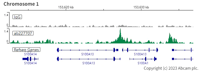 ChIC/CUT&RUN sequencing - Anti-PAX8 antibody [SP348] - N-terminal (AB227707)