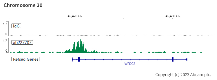 ChIC/CUT&RUN sequencing - Anti-PAX8 antibody [SP348] - N-terminal (ab227707), expandable thumbnail