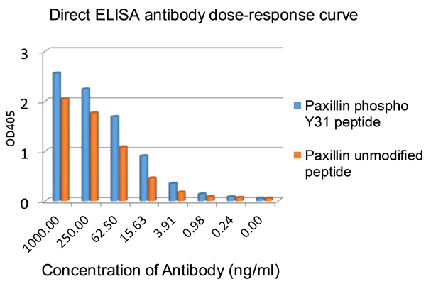 ELISA - Anti-Paxillin antibody [E228] (AB32115)