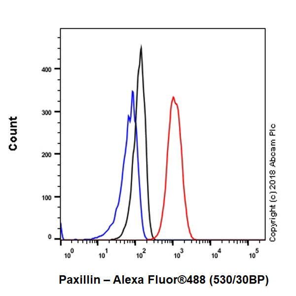 Flow Cytometry (Intracellular) - Anti-Paxillin antibody [E228] (ab32115), expandable thumbnail