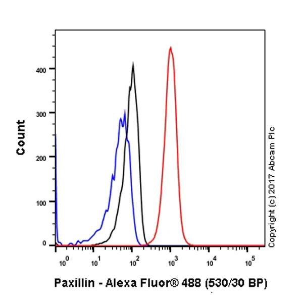 Flow Cytometry (Intracellular) - Anti-Paxillin antibody [Y113] - BSA and Azide free (AB216652)