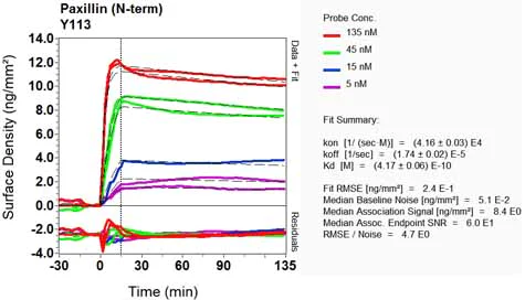 OI-RD Scanning - Anti-Paxillin antibody [Y113] - BSA and Azide free (AB216652)