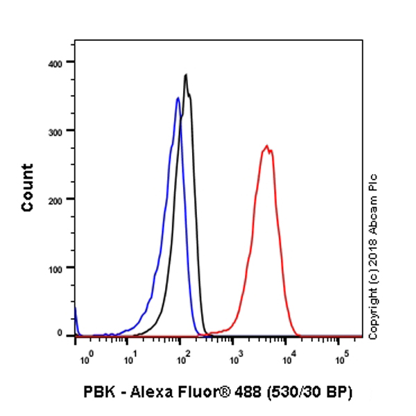 Flow Cytometry (Intracellular) - Anti-PBK/SPK antibody [EPR21982] (ab236871), expandable thumbnail