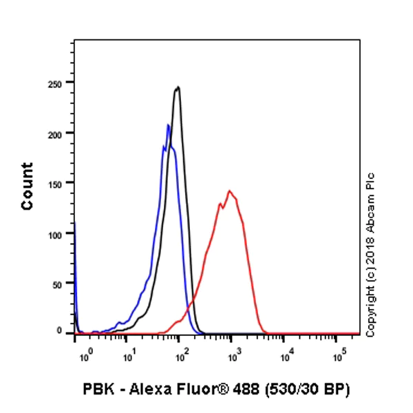 Flow Cytometry (Intracellular) - Anti-PBK/SPK antibody [EPR21982] - BSA and Azide free (AB239756)