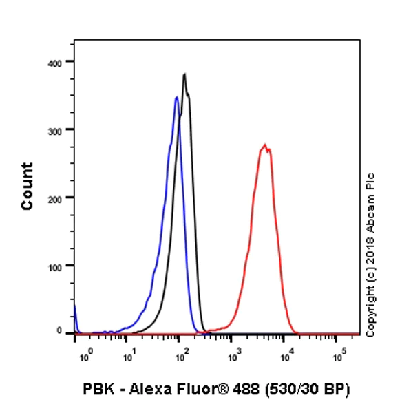 Flow Cytometry (Intracellular) - Anti-PBK/SPK antibody [EPR21982] - BSA and Azide free (AB239756)