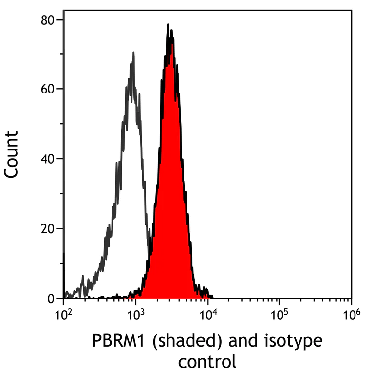 Flow Cytometry - Anti-PBRM1/BAF180 antibody [BL-39-2C3] (AB243876)