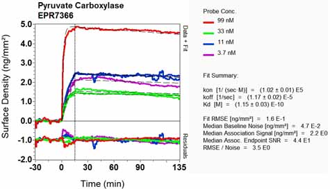 OI-RD Scanning - Anti-PCB antibody [EPR7366] - BSA and Azide free (AB240025)