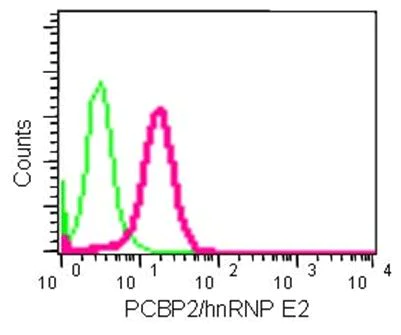 Flow Cytometry (Intracellular) - Anti-PCBP2/hnRNP E2 antibody [EPR14858] - BSA and Azide free (AB236137)