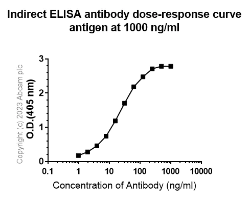 Indirect ELISA - Anti-PCDHAC2 antibody [EPR28522-31] - BSA and Azide free (AB315032)