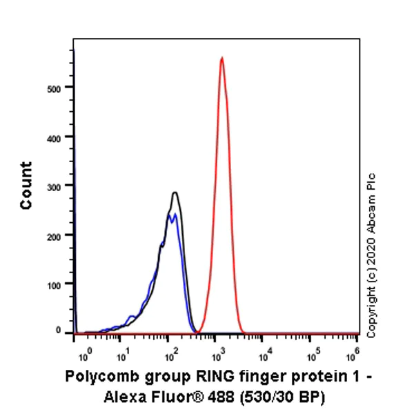 Flow Cytometry (Intracellular) - Anti-PCGF1 antibody [EPR23757-38] - BSA and Azide free (AB278502)