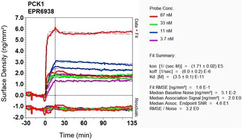 OI-RD Scanning - Anti-PCK1/PEPC antibody [EPR6938] - BSA and Azide free (AB248573)