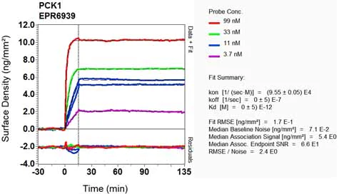 OI-RD Scanning - Anti-PCK1/PEPC antibody [EPR6939] - BSA and Azide free (AB248094)