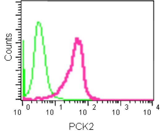 Flow Cytometry (Intracellular) - Anti-PCK2 antibody [EPR14224] - BSA and Azide free (AB236129)