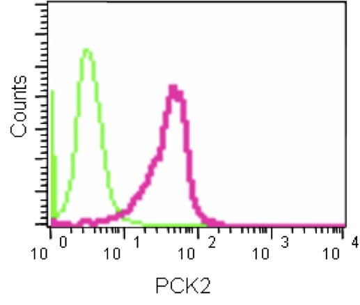 Flow Cytometry (Intracellular) - Anti-PCK2 antibody [EPR14224] - C-terminal (AB187145)