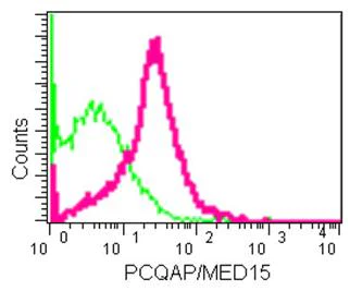 Flow Cytometry (Intracellular) - Anti-PCQAP / MED15 antibody [EPR13309] (AB181158)