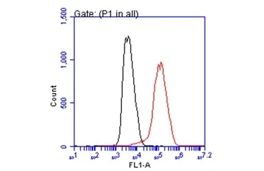 Flow Cytometry - Anti-PCSK9 antibody (AB272907)