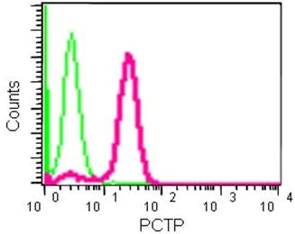 Flow Cytometry (Intracellular) - Anti-PCTP antibody [EPR15390] (AB184944)