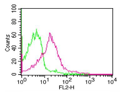 Flow Cytometry - Anti-PD-L1 antibody [ABM4E54] (AB210931), expandable thumbnail