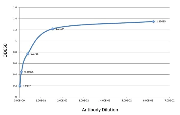 ELISA - Anti-PD-L1 antibody [CAL10] - BSA and Azide free (AB251611)