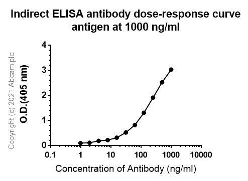 Indirect ELISA - Anti-PD-L1 antibody [RM1012] - BSA and Azide free (AB283867)