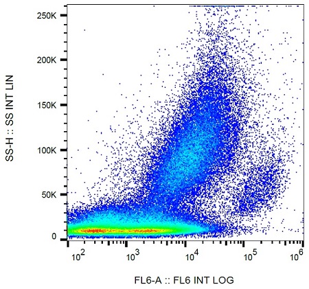 Flow Cytometry - Anti-PD-L2 antibody [24F.10C12] (AB234189)