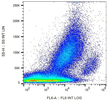Flow Cytometry - Anti-PD-L2 antibody [24F.10C12] (AB234189)