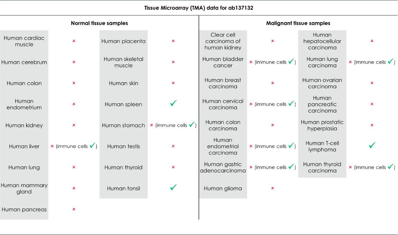 Immunohistochemistry (Formalin/PFA-fixed paraffin-embedded sections) - Anti-PD1 antibody [EPR4877(2)] - BSA and Azide free (ab186928), expandable thumbnail