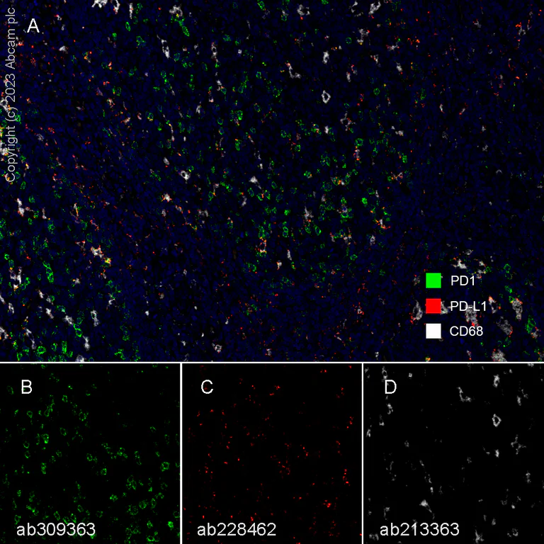 Multiplex immunohistochemistry - Anti-PD1 antibody [RM1033] - BSA and Azide free (AB309364)