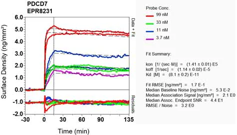 OI-RD Scanning - Anti-PDCD7 antibody [EPR8231] (AB131258)
