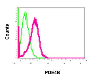 Flow Cytometry (Intracellular) - Anti-PDE4B antibody [EPR11830] (AB170939)