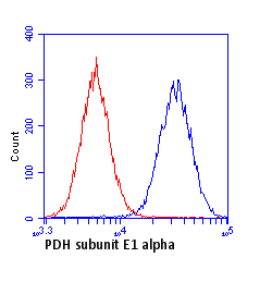 Flow Cytometry - Anti-PDHA1 antibody [9H9AF5] (AB110330), expandable thumbnail