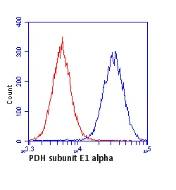 Flow Cytometry - Anti-PDHA1 antibody [9H9AF5] (AB110330)