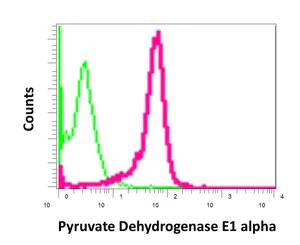 Flow Cytometry (Intracellular) - Anti-PDHA1 antibody [EPR11098] (AB168379)