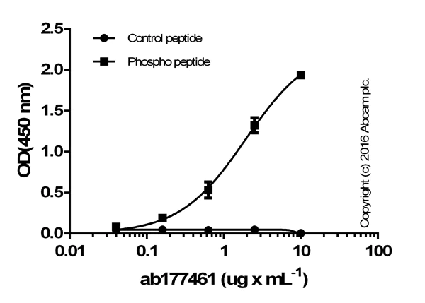 ELISA - Anti-PDHA1 (phospho S293) antibody [EPR12200] (AB177461)