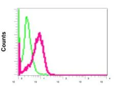 Flow Cytometry (Intracellular) - Anti-PDHB antibody [EPR11096(B)] - BSA and Azide free (AB249208)
