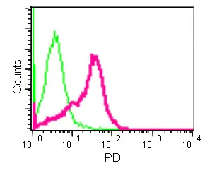 Flow Cytometry (Intracellular) - Anti-PDIA2/PDIP antibody [EPR12212] - BSA and Azide free (AB250264)