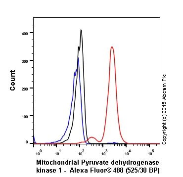 Flow Cytometry (Intracellular) - Anti-PDK1 antibody [EPR19571] - BSA and Azide free (AB251373)