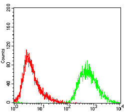 Flow Cytometry - Anti-PDK2 antibody [3F2D7] (AB201964)