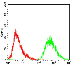 Flow Cytometry - Anti-PDK2 antibody [3F2D7] (AB201964)