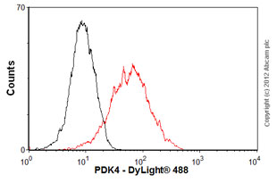 Flow Cytometry (Intracellular) - Anti-PDK4 antibody [1C2BG5] (AB110336), expandable thumbnail
