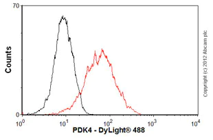 Flow Cytometry (Intracellular) - Anti-PDK4 antibody [1C2BG5] (AB110336)
