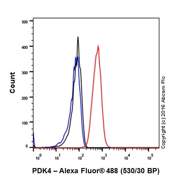 Flow Cytometry (Intracellular) - Anti-PDK4 antibody [EPR19727-245] (AB214938), expandable thumbnail