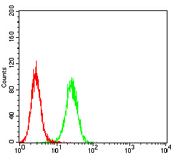 Flow Cytometry - Anti-PDPK1 antibody [3H3D9] (AB234064)