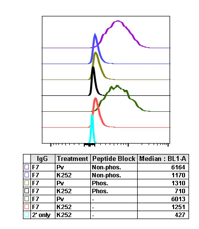 Flow Cytometry - Anti-PDPK1 (phospho S241) antibody [PDK1S241-F7] (AB278567)