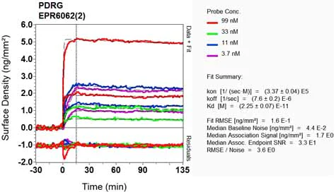 OI-RD Scanning - Anti-PDRG1 antibody [EPR6062(2)] (AB131219)