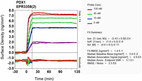 OI-RD Scanning - Anti-PDX1 antibody [EPR3358(2)] - BSA and Azide free (ab240084), expandable thumbnail