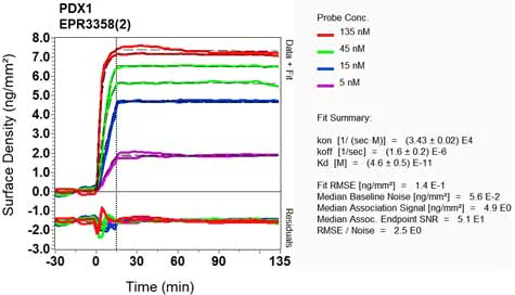 OI-RD Scanning - Anti-PDX1 antibody [EPR3358(2)] - BSA and Azide free (AB240084)